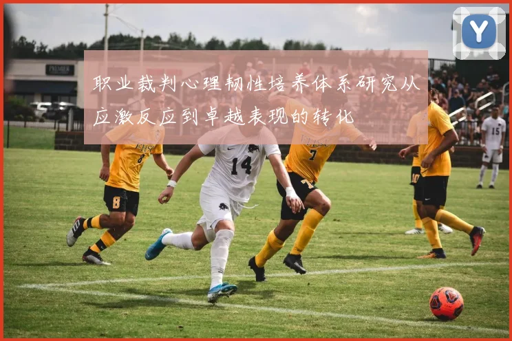 职业裁判心理韧性培养体系研究从应激反应到卓越表现的转化