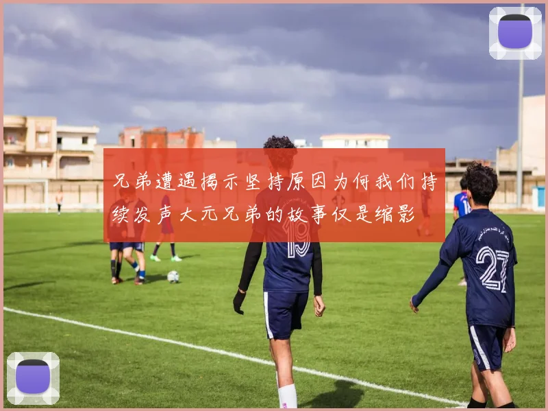 兄弟遭遇揭示坚持原因为何我们持续发声大元兄弟的故事仅是缩影