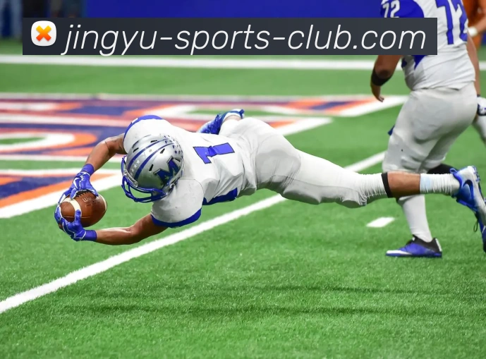 鲸鱼体育平台生态图